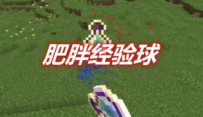 [1.14.2-1.18.2]肥胖经验球 Fat Experience Orbs Mod  第1张