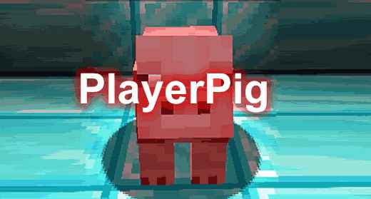 [1.16.5-1.19.1]玩家猪 PlayerPig mod  第1张