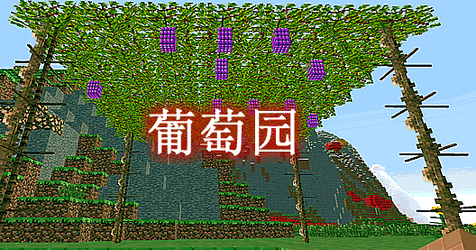 [1.19.1]葡萄园 Let’s do Wine Mod  第1张