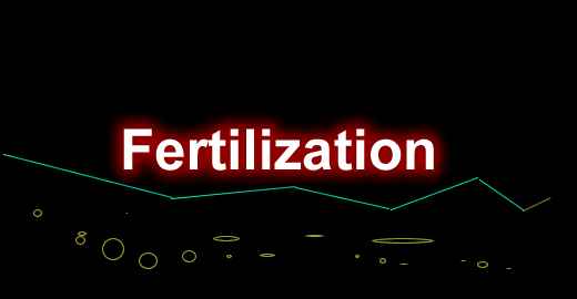 [1.12.2-1.18.1]施肥 Fertilization Mod  第1张