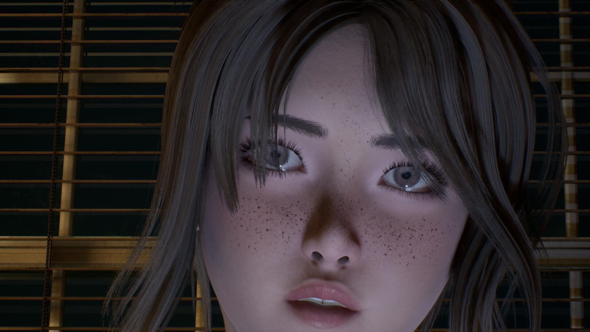 伊芙琳的故事/The Evelyn Game  第1张