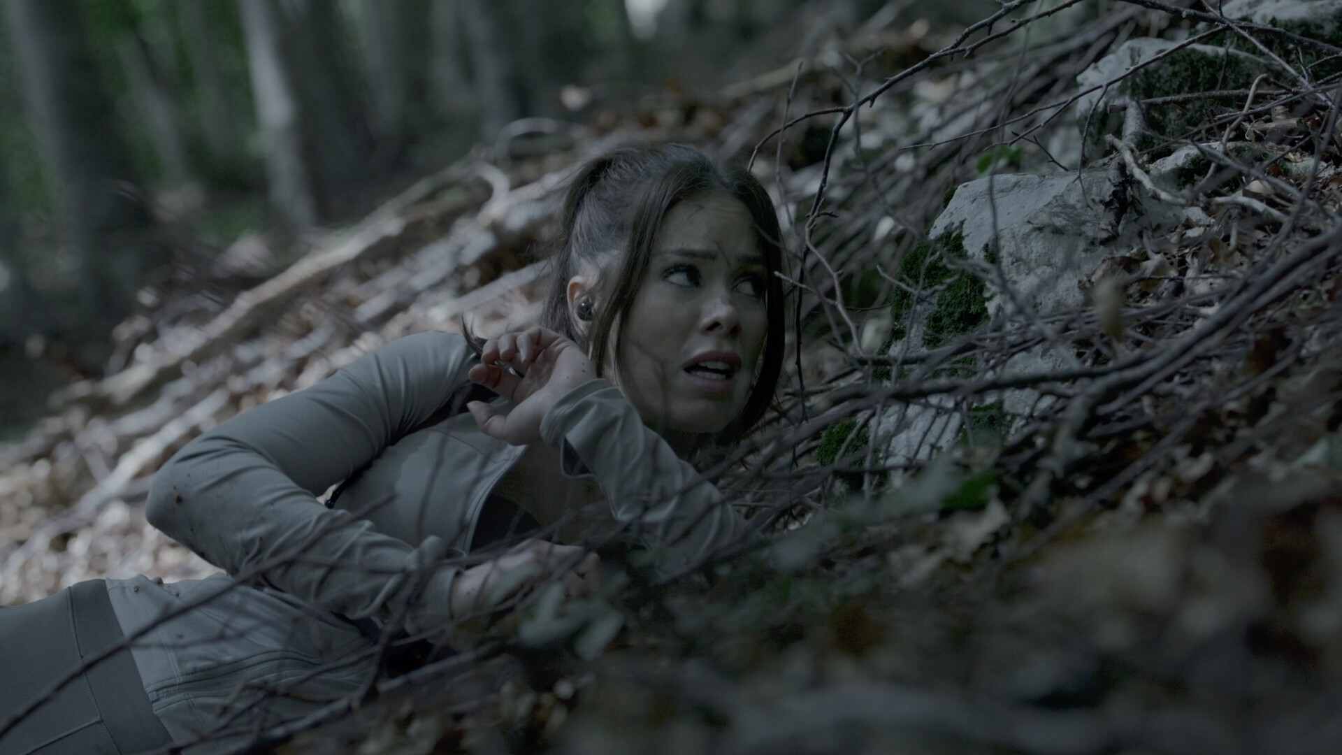 奔跑/The Run  第3张