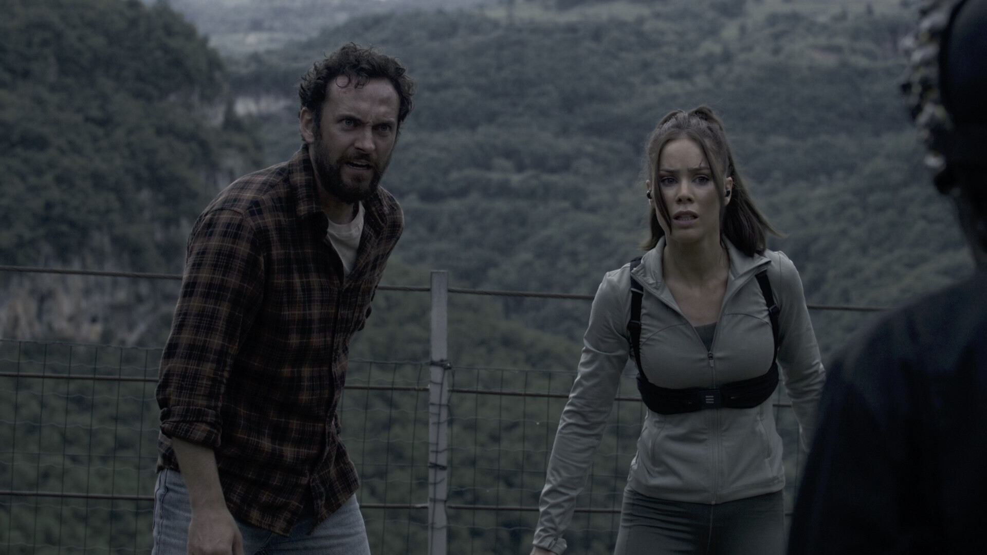 奔跑/The Run  第1张